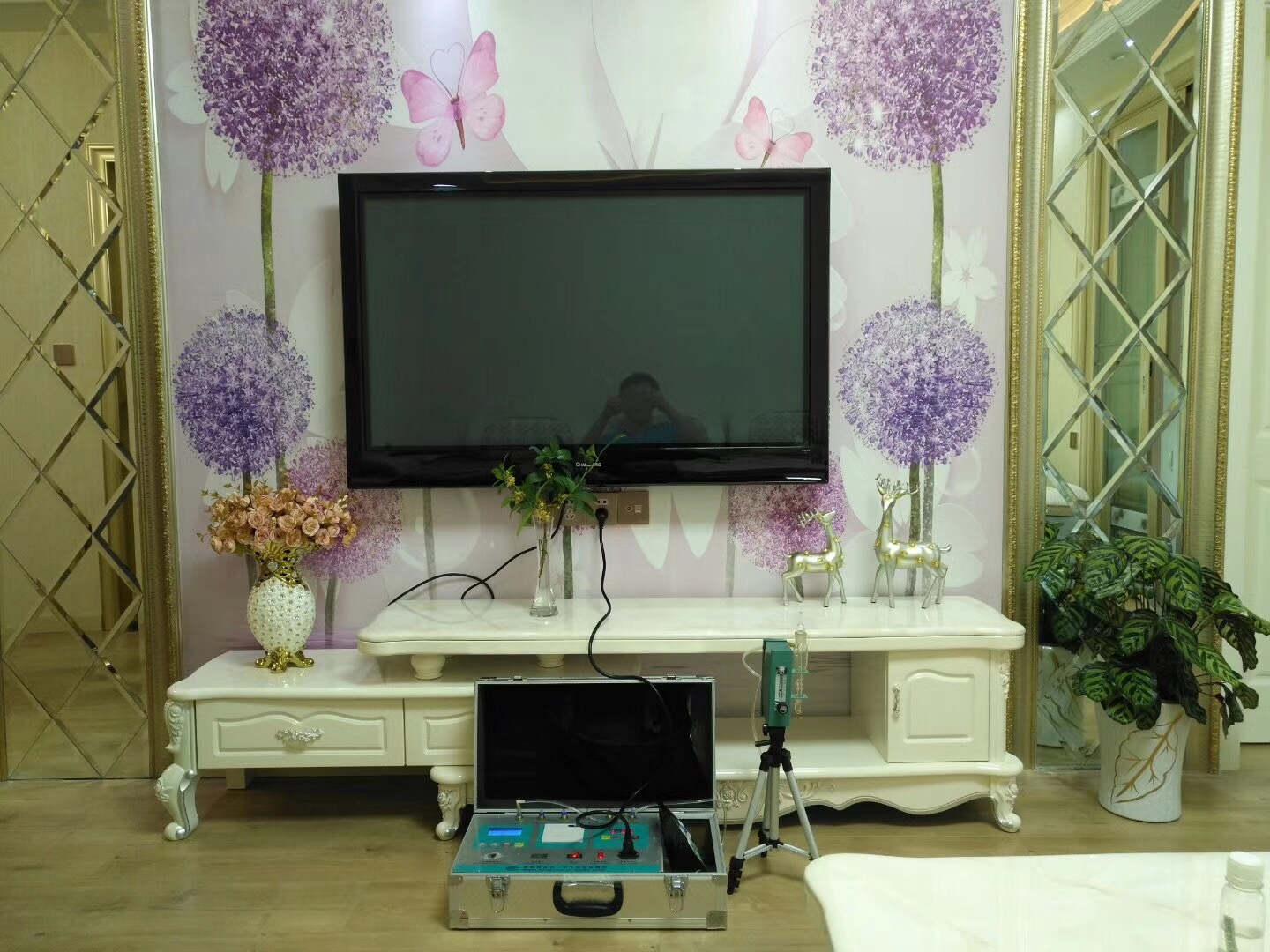 武漢市嘉凈鴻環(huán)?？萍加邢薰? style=