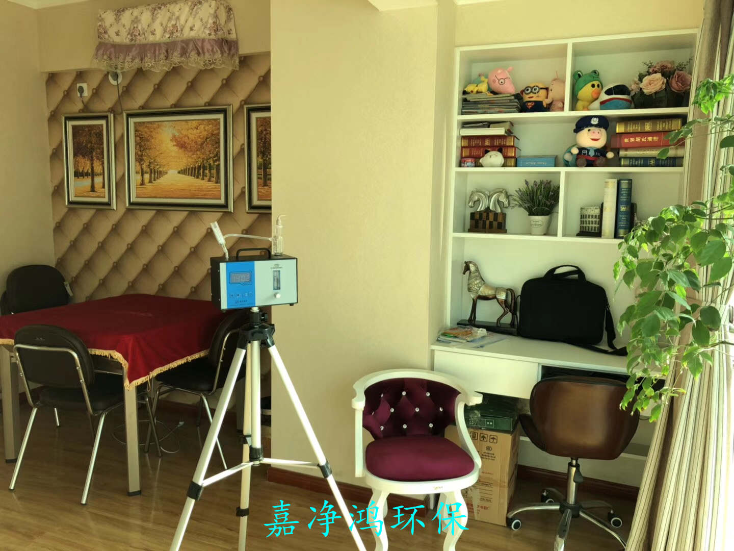 武漢市嘉凈鴻環(huán)?？萍加邢薰? style=