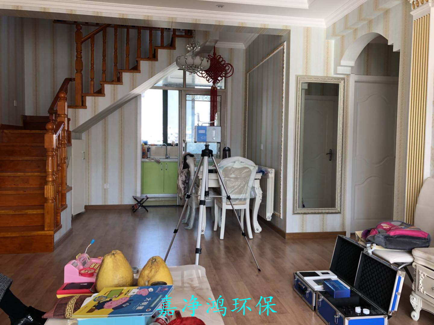 武漢市嘉凈鴻環(huán)?？萍加邢薰? style=