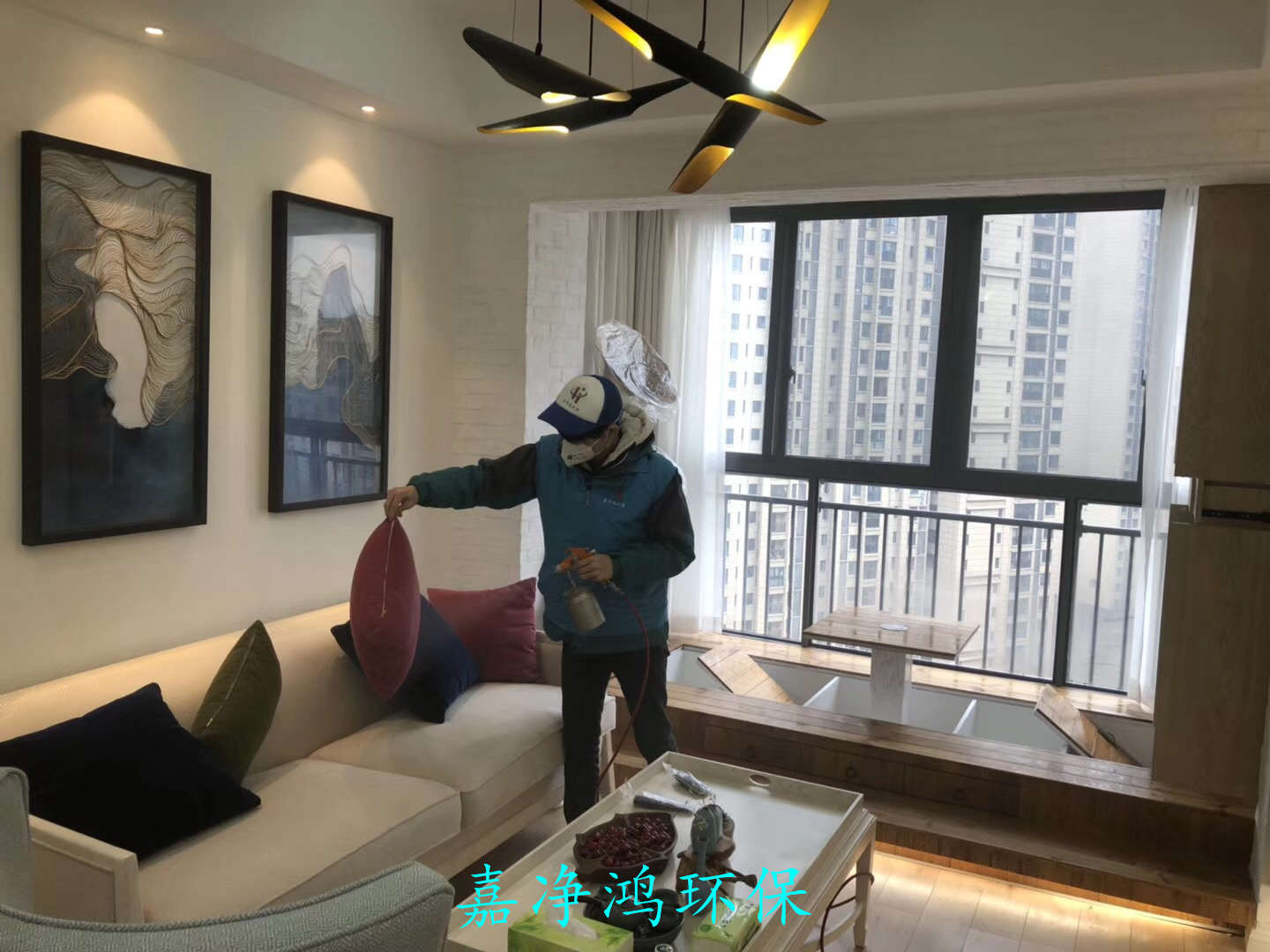 武漢市嘉凈鴻環(huán)?？萍加邢薰? style=