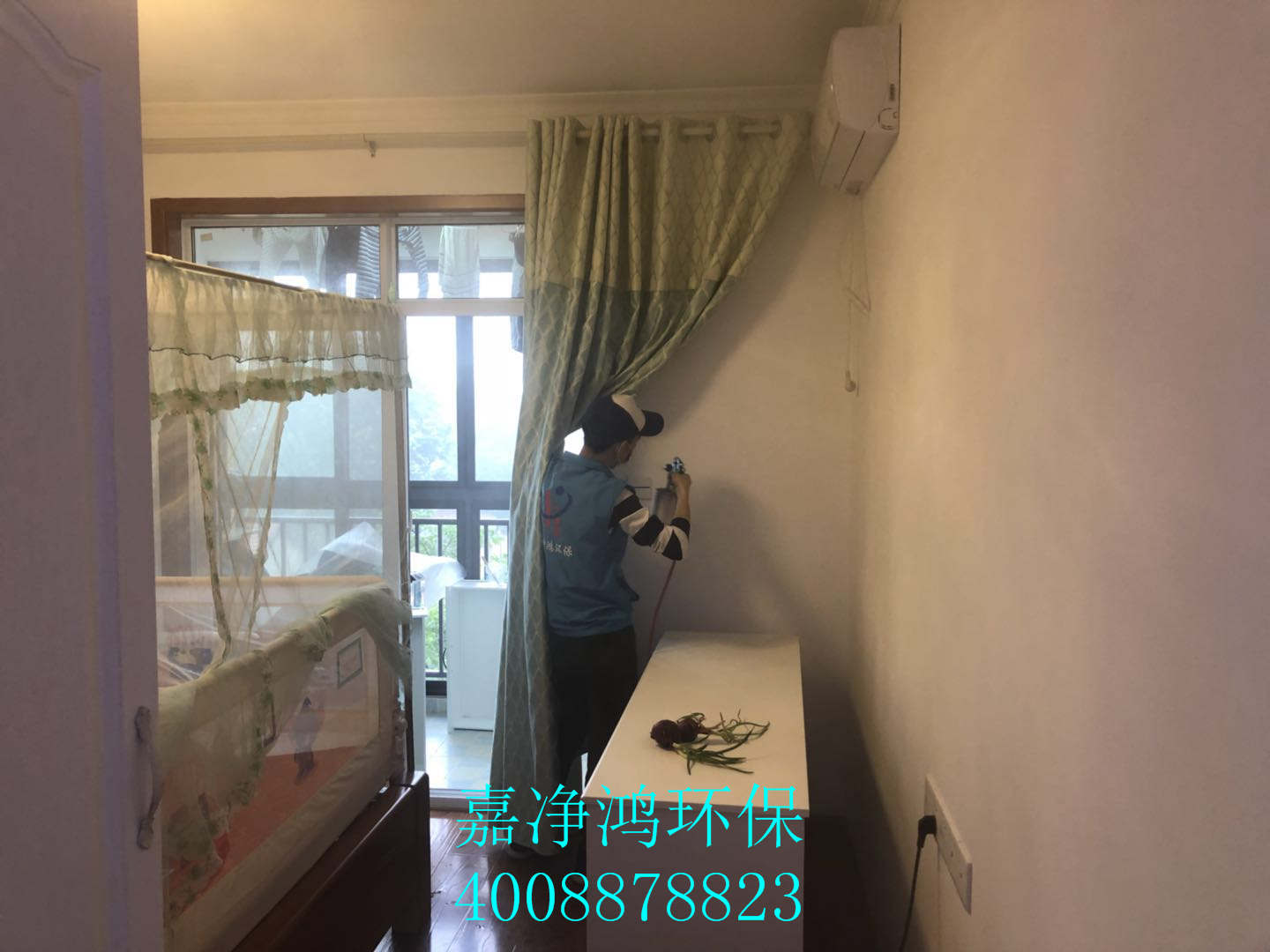 武漢市嘉凈鴻環(huán)?？萍加邢薰? style=