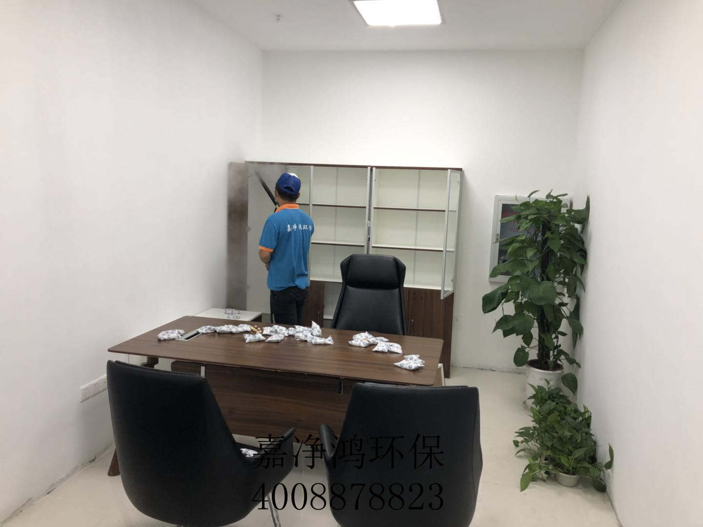 武漢市嘉凈鴻環(huán)?？萍加邢薰? style=