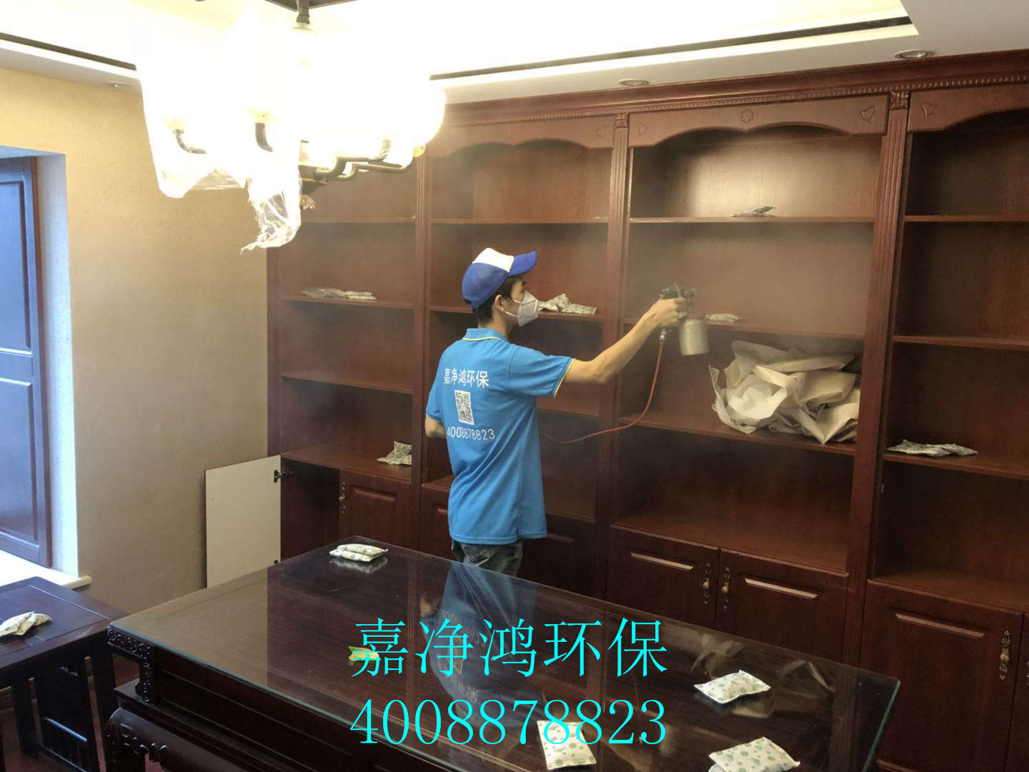 武漢市嘉凈鴻環(huán)?？萍加邢薰? style=