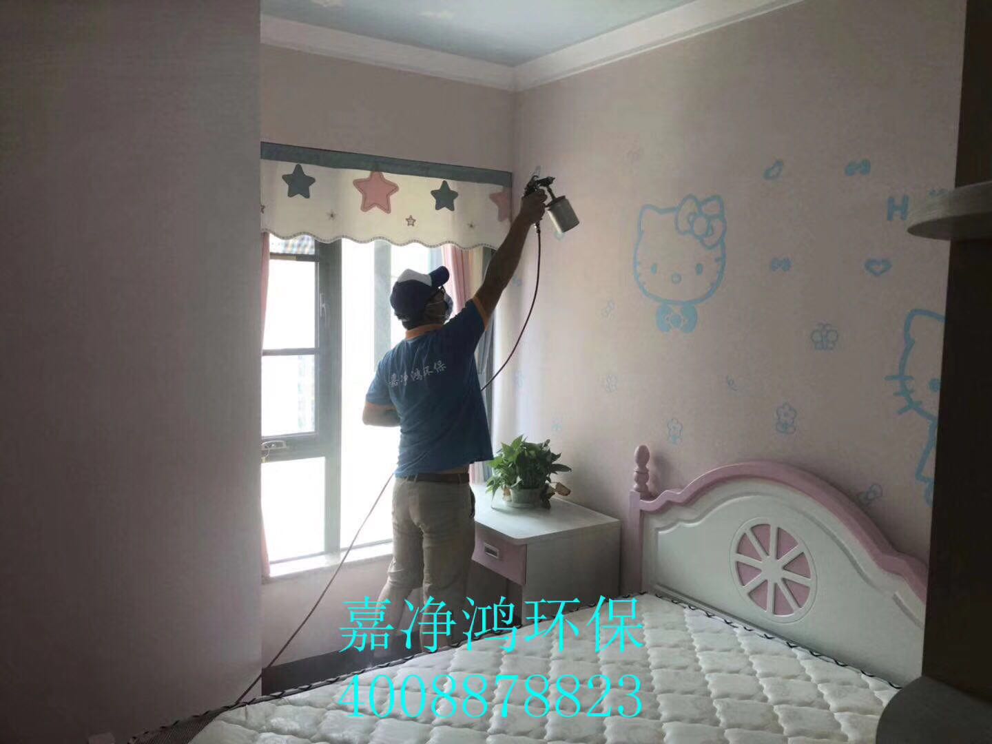 武漢市嘉凈鴻環(huán)?？萍加邢薰? style=